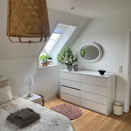 Skon I Centrum Apartman Herning